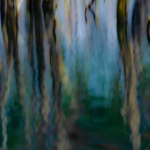 El arte del bosque