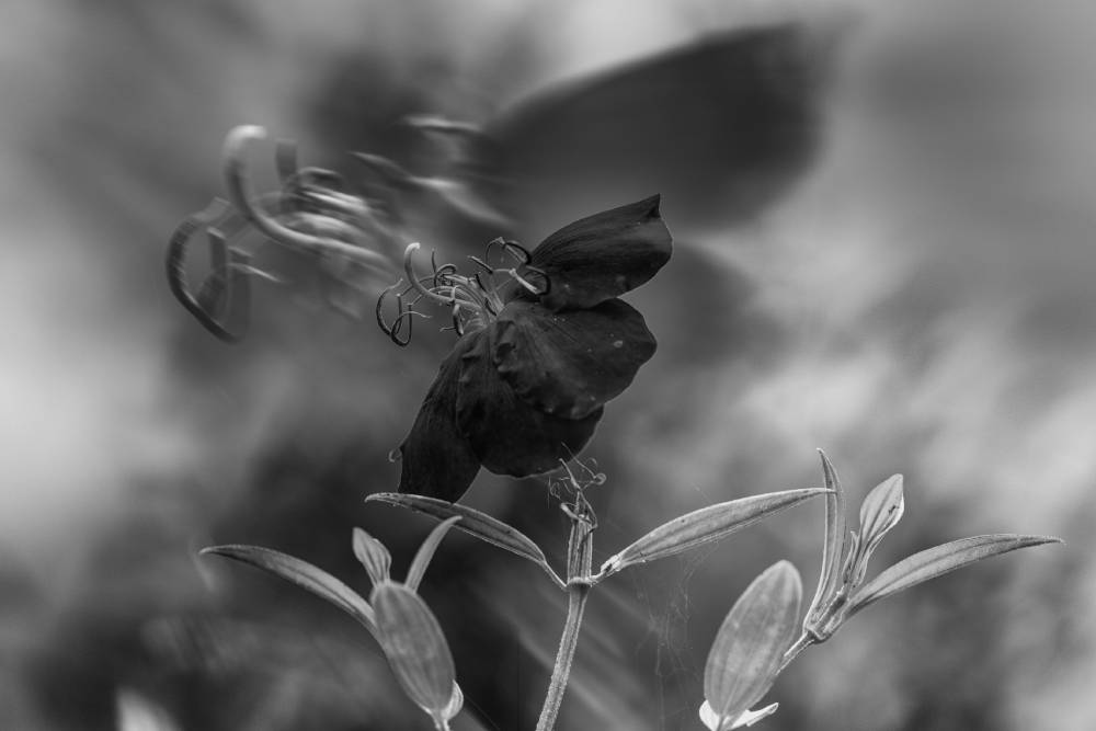 El arte en flor