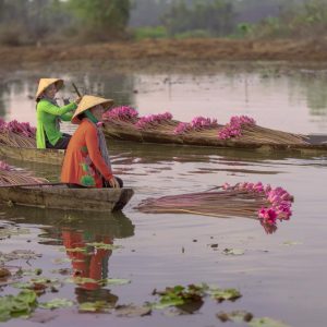 El río de las flores