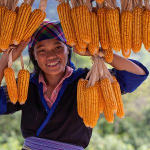 La sonrisa de la tierra
