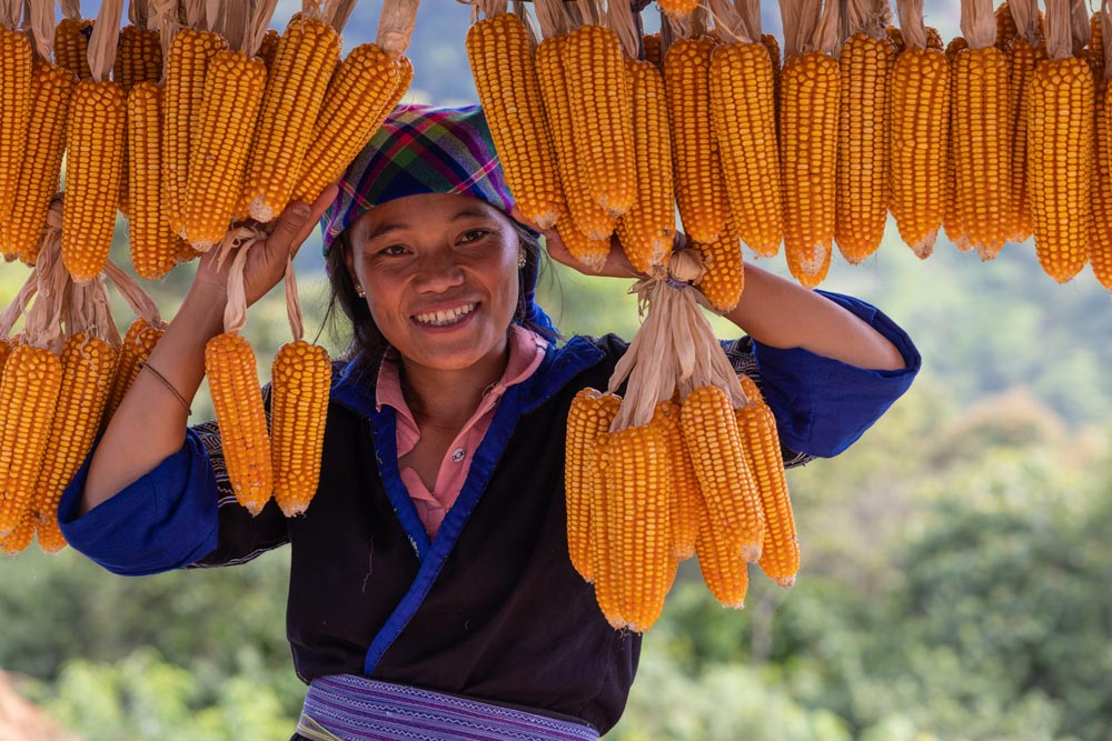 La sonrisa de la tierra