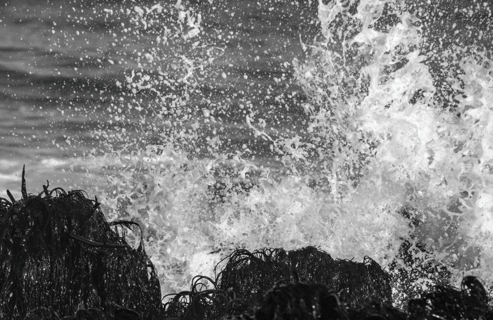 Olas Pichilemu 3