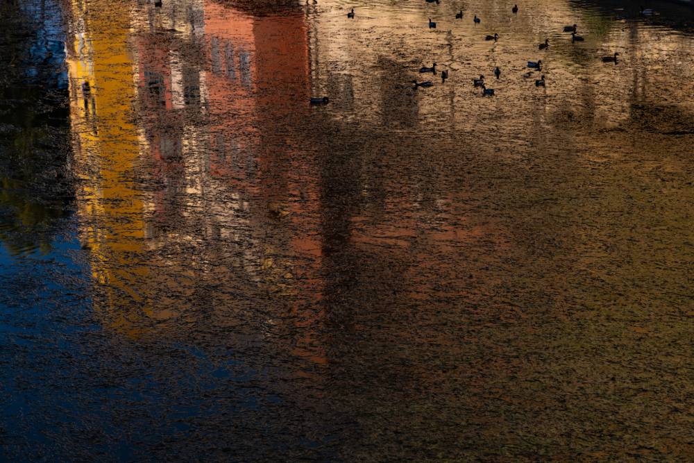 Reflejos de Girona 3