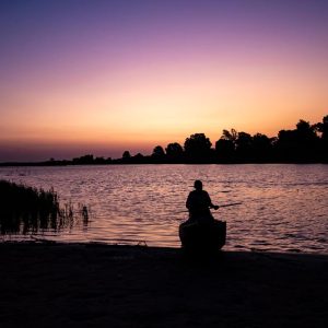 Vida en silencio