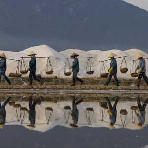 Entre orillas